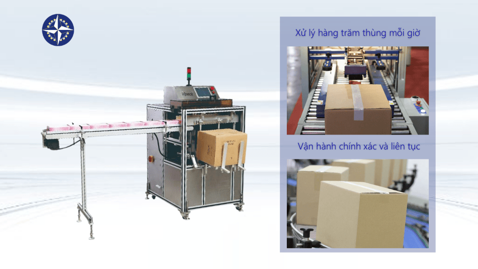 Máy đóng thùng tự động Vipack đóng gói thùng carton thực phẩm nhanh chóng.
