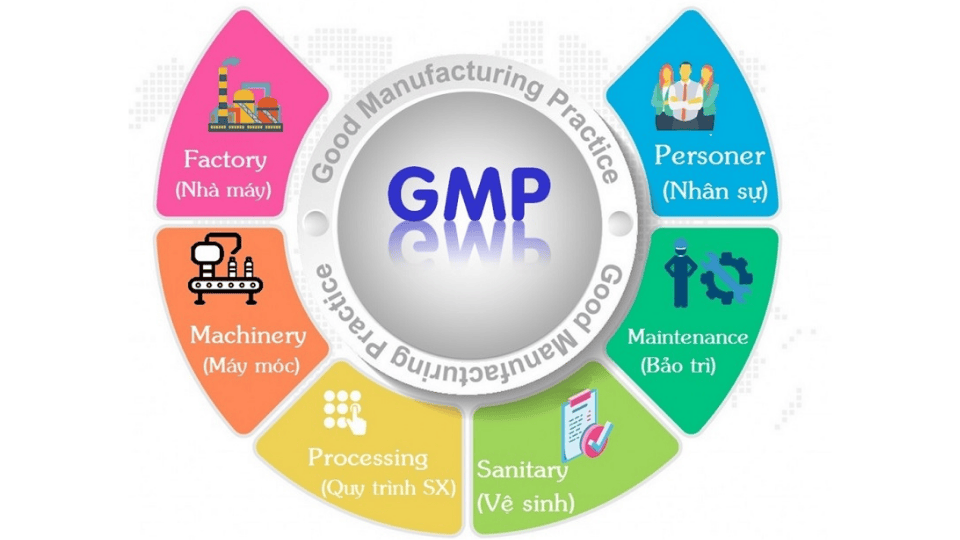 Tiêu chuẩn GMP là gì?